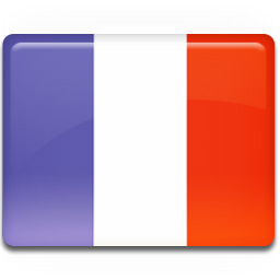 france flag 1487622809
